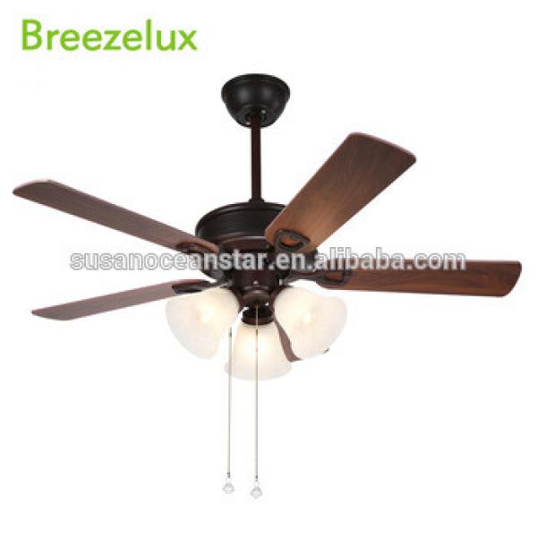 Contemporary Modern design india Zipper Control 220v pendant lamp ceiling fan with light chandelier fan